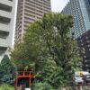 高層ビルに囲まれた成子天神社周辺の様子